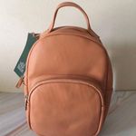 Mini Backpack Tan Photo 0