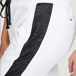 Koral - Zone Scuba Pants In White/black Photo 1