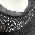 Stitch Fix Pixley  Blouse Lace Zip-Up Cap-Sleeve Layering Small Photo 3