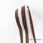 Bec & Bridge New! Set! ‎ Barbara bikini set top and boy leg bottoms USA 4 Photo 8