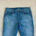 Loft Ann Taylor  blue button up boyfriend jeans Photo 1