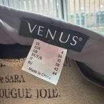 Venus  gray coat Photo 5