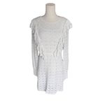 ZARA  - Lace Overlay Romantic Ruffle Mini Dress Sz L Photo 3