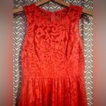 Plenty by Tracy Reese Alana Coral Lace Dress, size 2p Photo 3