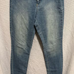 D. Jeans  New York Classic Blue stretch leg Women's Jeans Photo 0