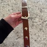 Studded Belt Brown Photo 2