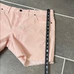 Carve Designs Oahu 6” Corduroy Shorts size 14 Photo 4