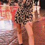 Pretty Little Thing Leopard Print Satin Long Sleeve Dress Photo 0