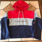 Champion  Life Color Block Reverse Weave Cropped Hoodie Pullover hoodie Photo 0