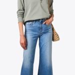 Frank & Eileen  Patrick Popover Henley Collared Triple Fleece Sage Green Medium Photo 0