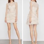 BCBGMAXAZRIA  Pleated Tulle Mini Dress in Regal Champagne Photo 1