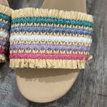 J.Crew  Faux Raffia Block Heel Mule Sandal 8 Photo 3