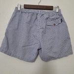 Chubbies  Classic Seersucker Striped Chino Shorts Women's Size Medium Blue White Photo 2