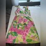 Lilly Pulitzer Pink Green Giraffe Print Floral Dress Size 6 Photo 1