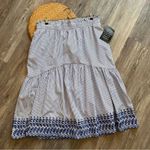 Tuckernuck Nwt  Blue stripe cinzia midi skirt‎ women’s size XXL Photo 1