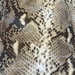 Magnolia South NWT Snake Print Leather Skirt  Photo 1