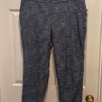 Merona  Women's Classic Blue White Tweed Ankle Pants Size 14 Career‎ Casual Photo 0