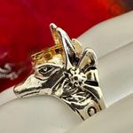 Egyptian Anubis Ring w/ Gold Photo 2