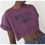 ZARA  "Malibu 1980" Purple Crop Top Size Small Photo 0