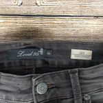 Level 99 lily skinny straight jeans size 26 Gray Photo 2
