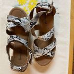 Bonnibel  Snakeskin Print Black & White Espadrilles Photo 4
