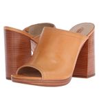 Frye Blake Mule Sandals Photo 0