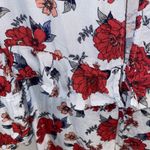 Outfitters American Eagle Blue Red Floral Boho poof Sleeve Dress Photo 10