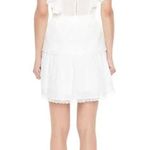 Forever 21 Clip Dot Lace Ruffled Mini Dress Photo 3