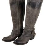 FREEBIRD by Steven Irish Tall Leather Riding Boots Triple Buckle Strap 6 Brown Photo 1