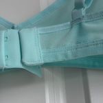 Negative Underwear Sieve Non Photo 8