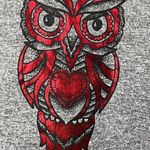 No Boundaries Owl Grey Hoodie Pullover Long Sleeve Shirt Photo 1