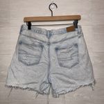 American Eagle  High Rise Mom Shorts Size 4 Light Wash Distressed Denim Photo 6