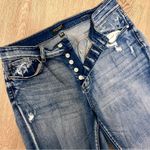 Judy Blue  Teagan Button Fly Jean Photo 2