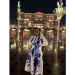 Natori White Blue Floral Collared Front Button Cinched Waist Andora Dress Size 8 Photo 12