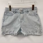 Driftwood  Lulu Embroidered Eyelet‎ Jean Shorts Size 27 Photo 2