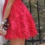 Windsor Red Lace Dress Photo 0