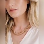 Nordstrom NWT Interlinked Chain Link Necklace 5” extender Photo 2