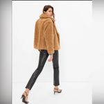 Gap | Sherpa Moto Jacket Photo 6