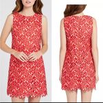 Alice + Olivia “Clyde” Lace Shift Dress Photo 1