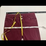 Sapphire Ink ,Burgundy, Size 17, Stretchy, High Rise Photo 4