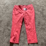 Mario Serrani  Italy Ankle Pants With Tummy Control SIZE 14 Photo 0