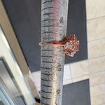 Synthetic Pink Gemstone and CZ Cocktail Ring Size 6 Photo 4