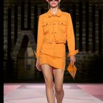 Carolina Herrera Carolina x Frame The corset mini skirt Photo 5