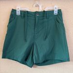Patagonia Women's Green Cargo Shorts Photo 0