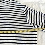 Aerie  Navy White Stripe Turtleneck Long Sleeve Photo 6