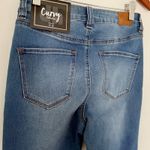 Dollhouse  Curvy Collection High Rise Skinny Juniors Jeans Denim Sculpting Sz 3/4 Photo 4