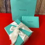 Tiffany & Co. 1837 Silver Interlocking Circles Necklace Photo 5