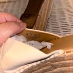 Franco Sarto Franco‎ Sarto Espadrille Wedge Sandals Ivory Leather Slip On Size 9M Shoes Photo 6