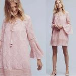 Anthropologie Floreat Esme Dress in Blush Pink Rose Size 4 Dainty Ethereal Lace Photo 1