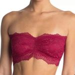 Free People Lacey Looks Burgundy Bandeau Lace New NWT XS Photo 0